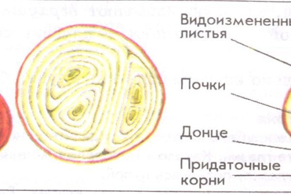 Кракен маркетплейс что продают