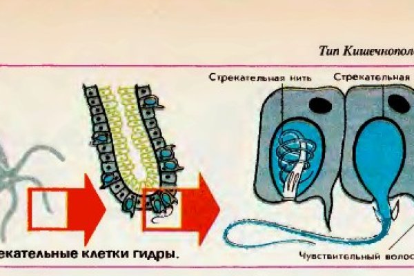 Кракен ссылка оригинал